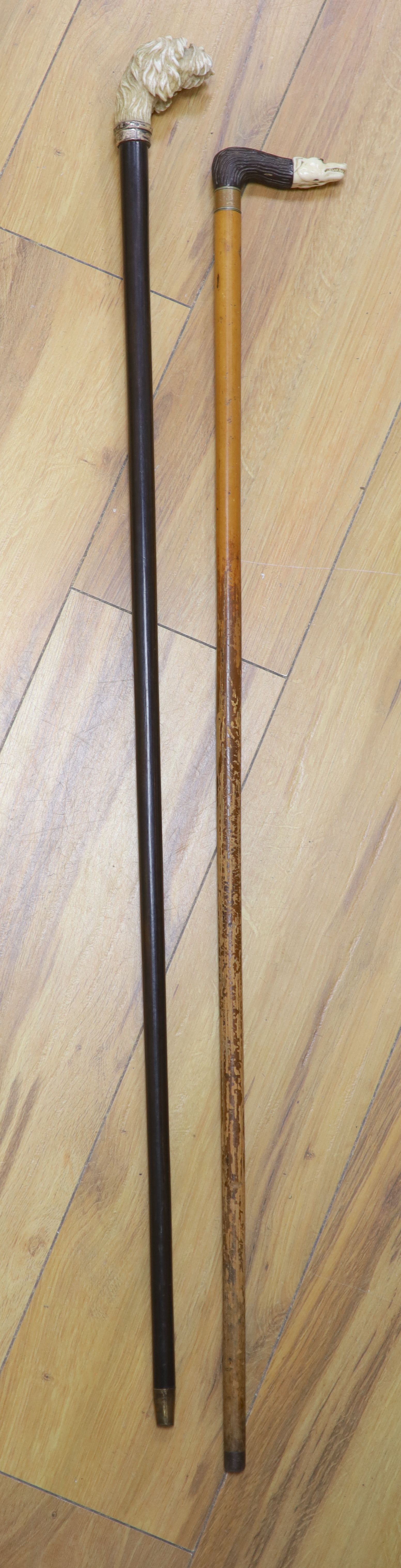 A Victorian carved ivory dogs head cane and another with silver collar